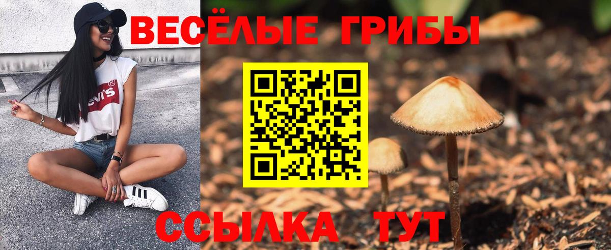 Псилоцибиновые грибы прущие грибы Жуковский